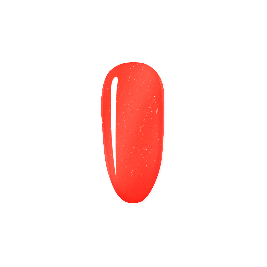 Jelly Bean - Kit